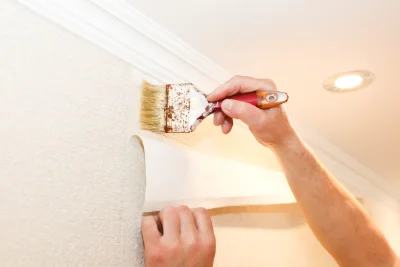 Pose de papier peint à Escot — revêtements muraux et toiles de verre